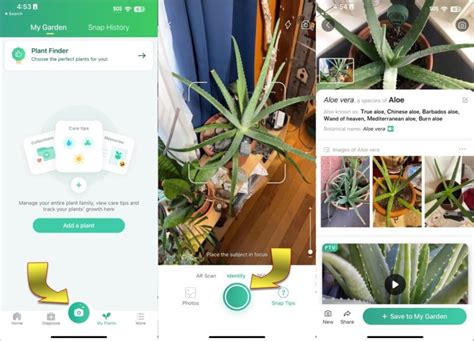 植物種類查詢|PictureThis App